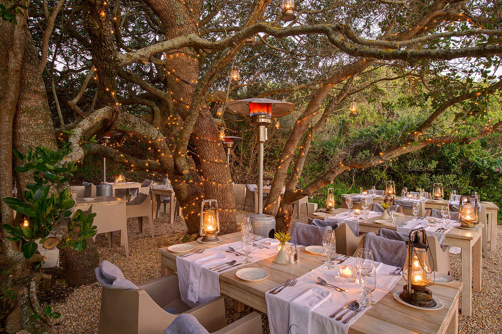 Grootbos Garden Lodge: Das Restaurant The Boma Grootbos Garden Lodge: Das Restaurant The Boma