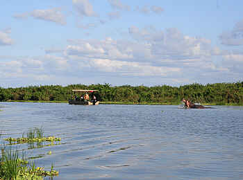 Lake Manze Camp: Nilpferd Lake Manze Camp: Nilpferd