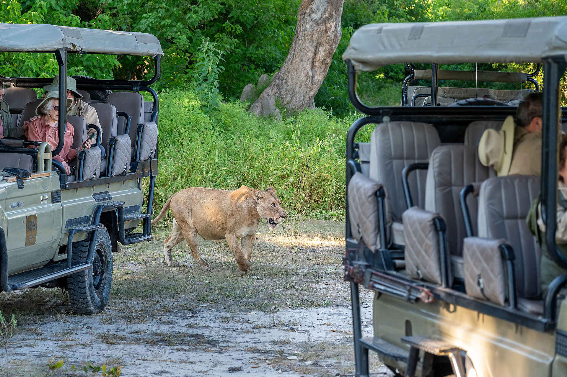 Saguni Safari Lodge: Auf Pirschfahrt Saguni Safari Lodge: Auf Pirschfahrt