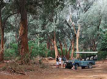 The Outpost: Pause während eines Game Drives