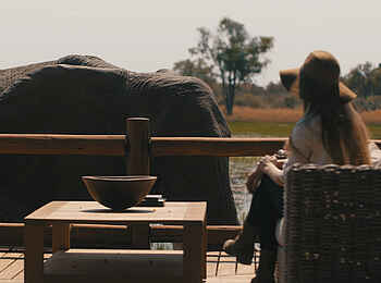 Chief's Camp: Blick auf Elefanten von der Veranda