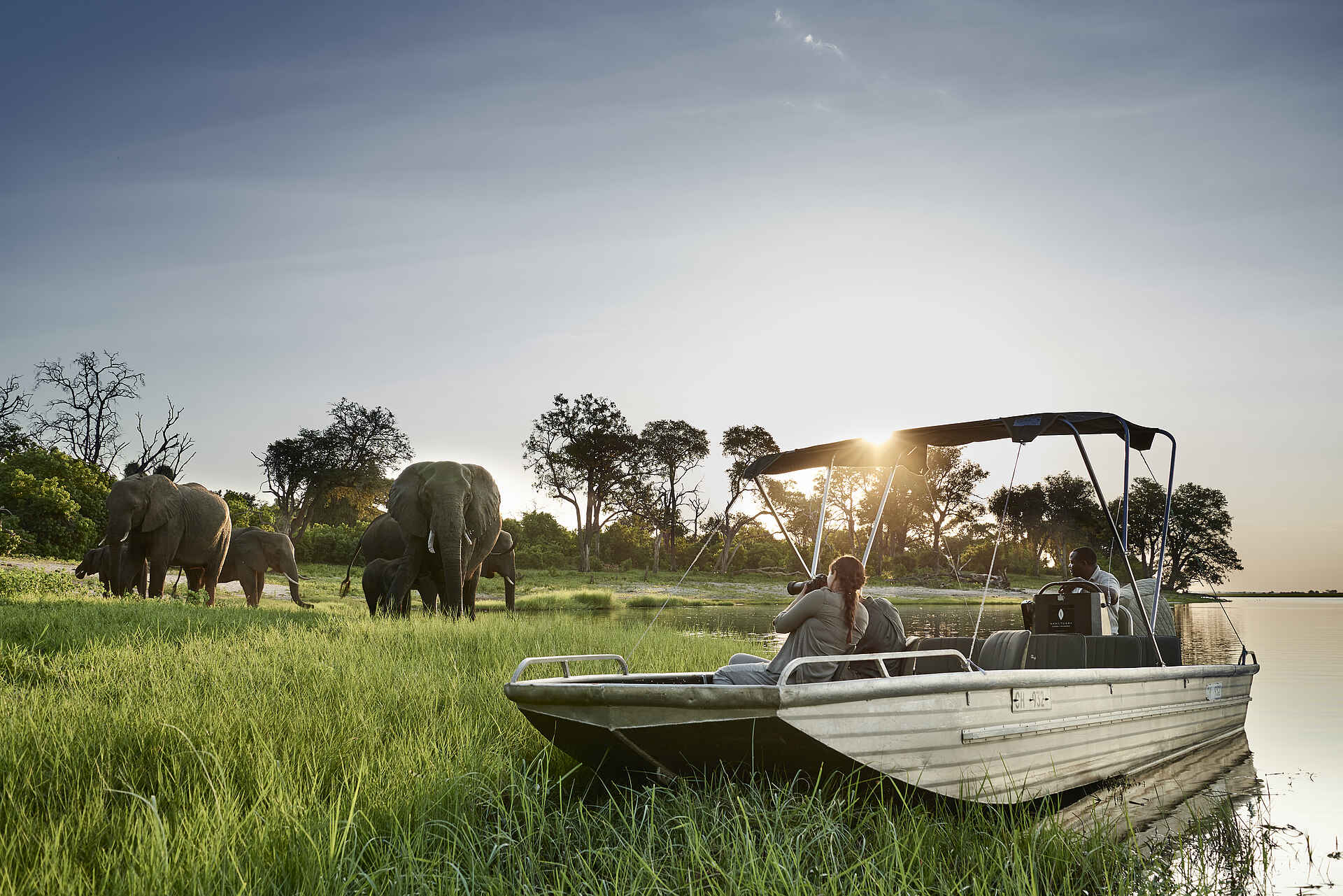 Sanctuary Chobe Chilwero: Elefantenherde am Fluß