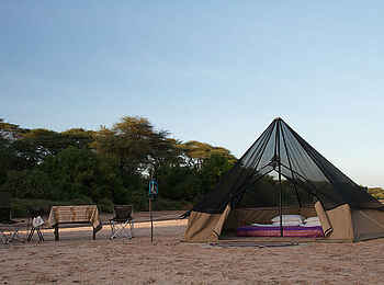 Sarara Tree: Fly Camp Sarara Tree: Fly Camp