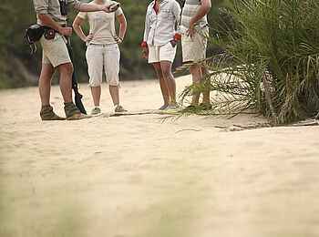 &Beyond Ngala Tented Camp: Gemeinsame Touren