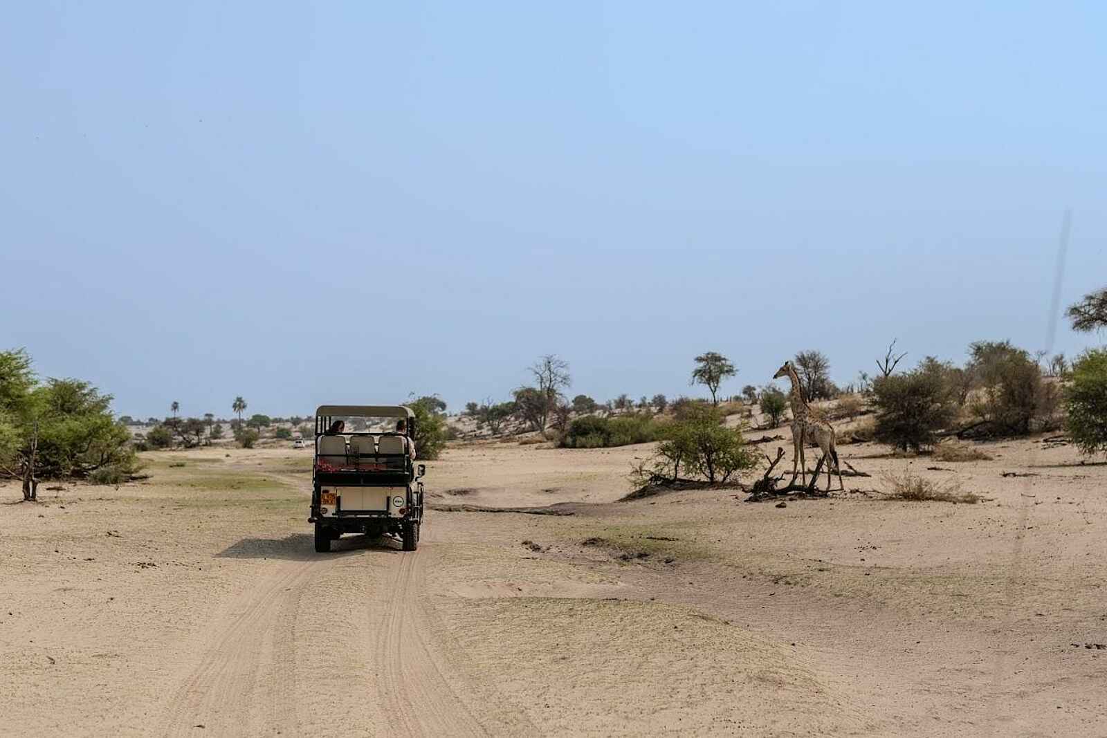 Boteto River Camp: Pirschfahrt Boteto River Camp: Pirschfahrt