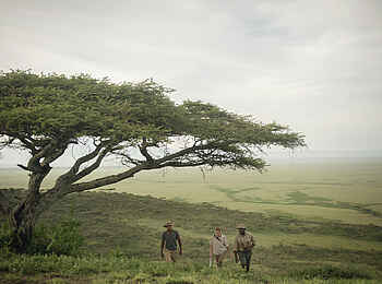 Charlie Sanjan Safari Camp: Wanderung 