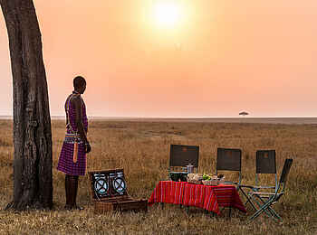 Entim Private Wing Camp: Bush Dinner Entim Private Wing Camp: Bush Dinner