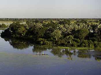 Jacana Camp: Mekoro vor der Campinsel Jacana Camp: Mekoro vor der Campinsel