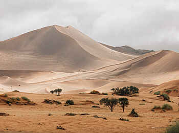 Kulala Desert Lodge: Die Weiten der Namib Wüste