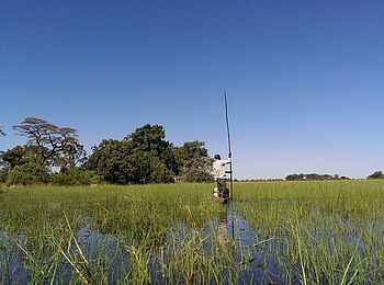 Mopriri Camp: Mokoro Ausflug Mopriri Camp: Mokoro Ausflug