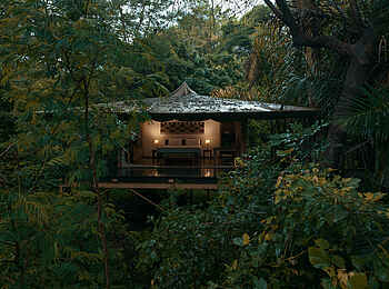 Rhino River Camp: In den Bäumen Rhino River Camp: In den Bäumen