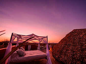 Sasaab Camp: Das Star Bed Sasaab Camp: Das Star Bed