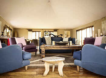 Sayari Camp: Sessel in der Lounge Sayari Camp: Sessel in der Lounge