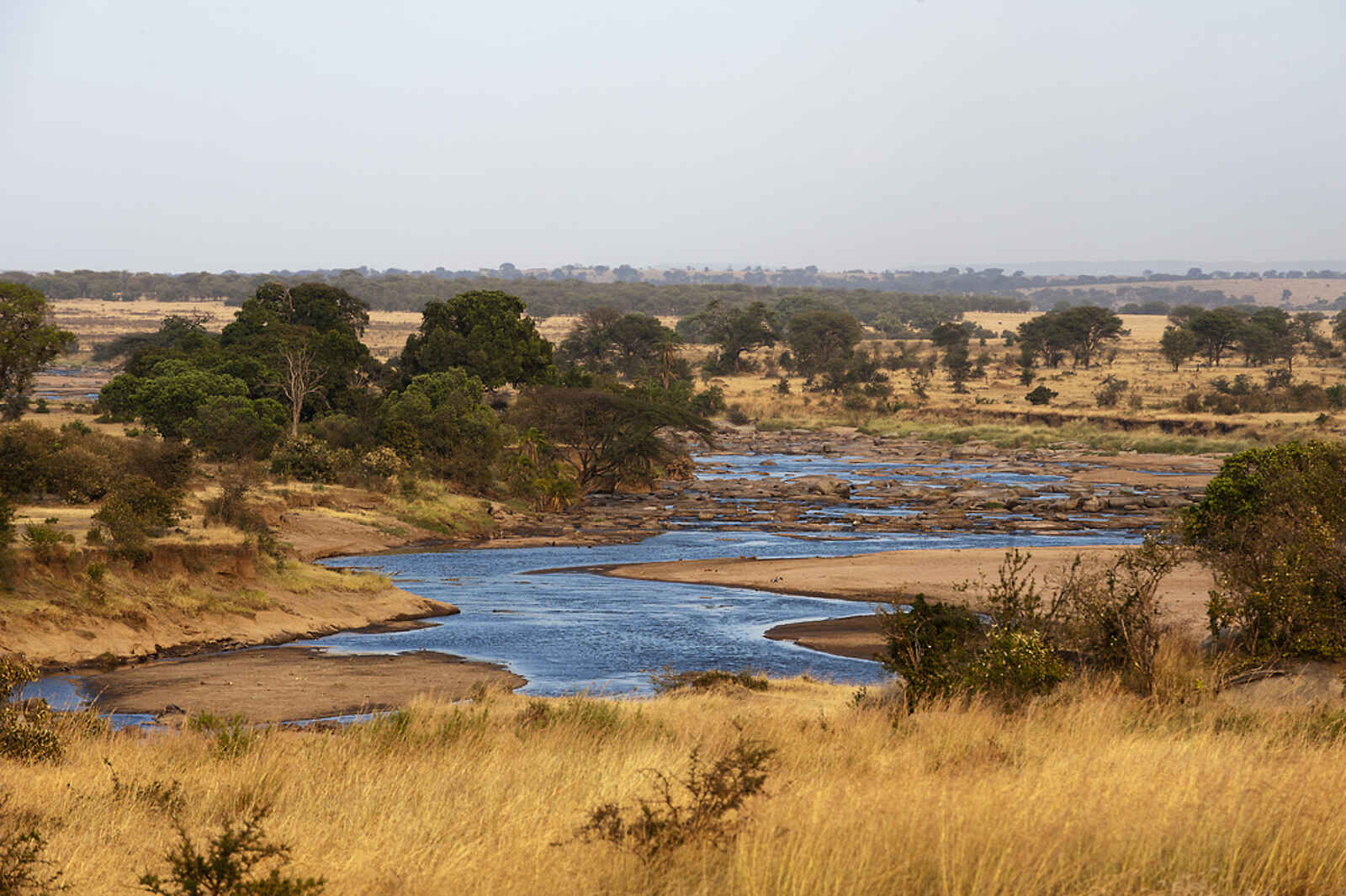 Serengeti Safari Camp: Flusslandschaft Serengeti Safari Camp: Flusslandschaft