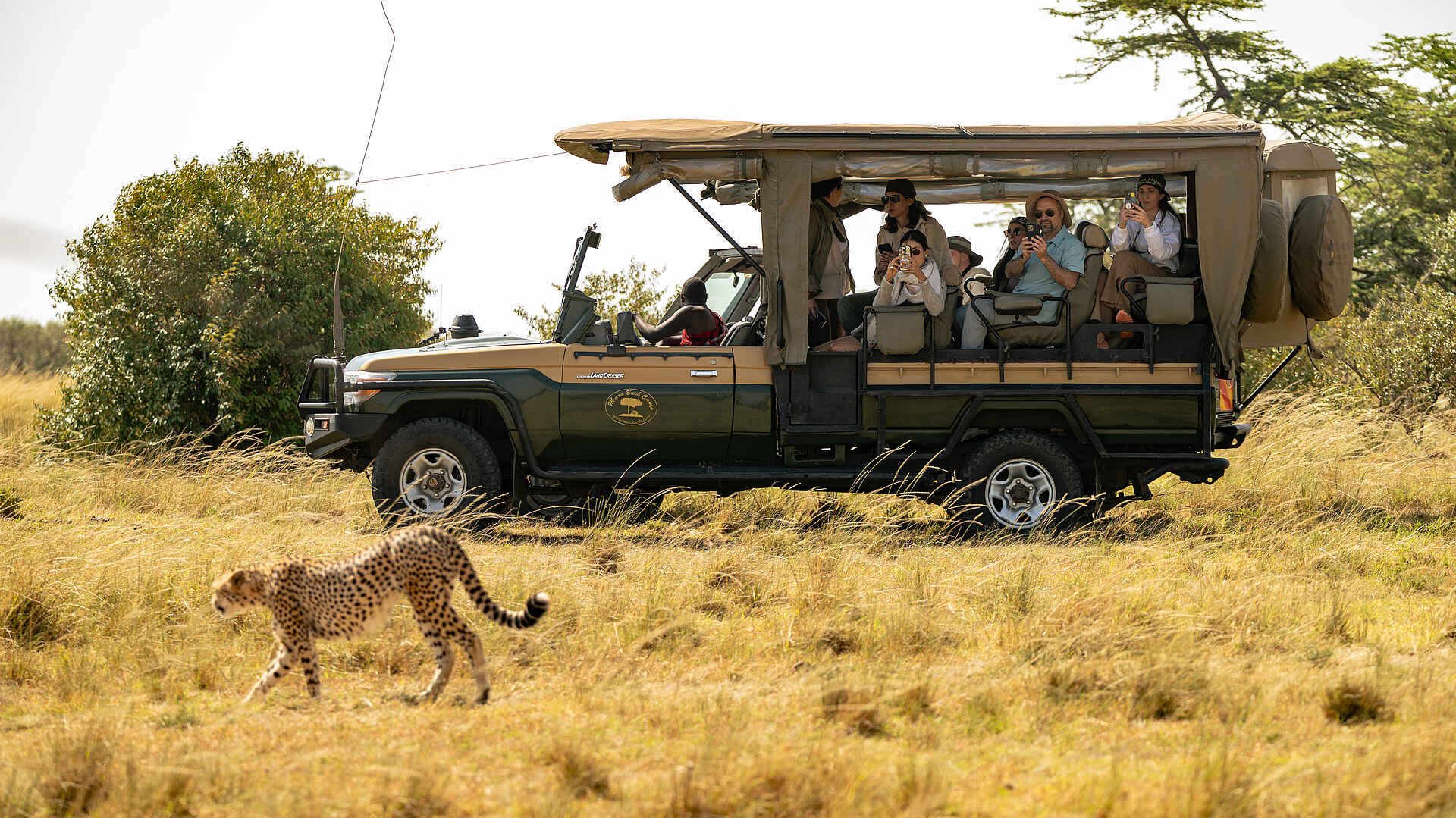 Soroi Mara Bush Camp: Einen Geparden auf Pirschfahrt beobachten