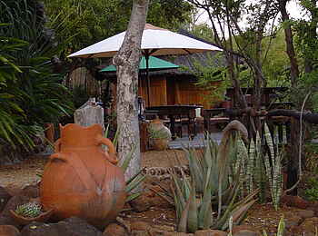 Taita Falcon Lodge: Im Garten Taita Falcon Lodge: Im Garten