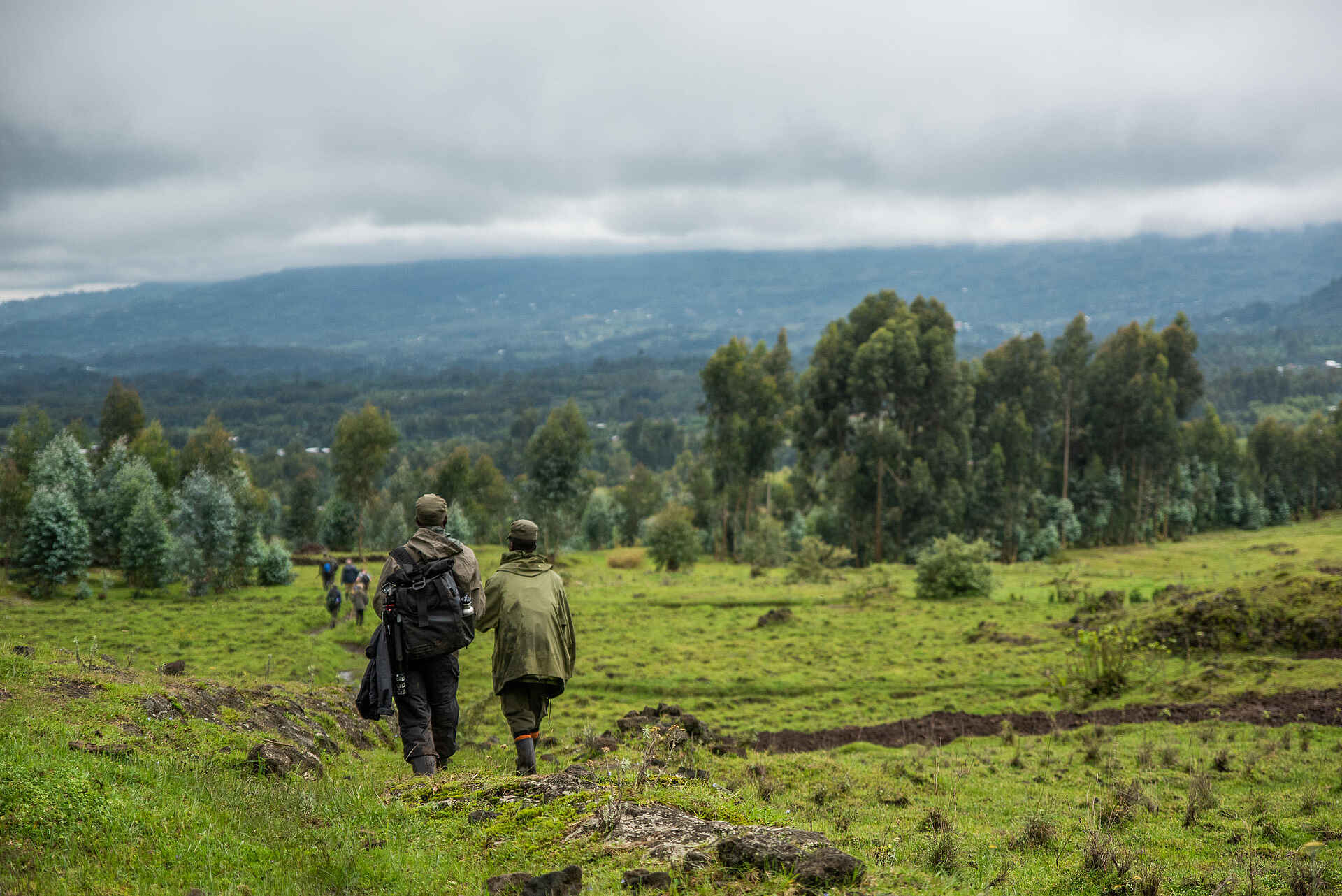 Wilderness Sabyinyo: Gorilla Trekking
