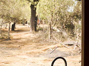 Xaranna Okavango Delta Camp: Blick aus dem Badezimmer