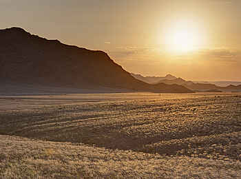 Desert Hills Glamping: Blick in die Wüstenlandschaft Desert Hills Glamping: Blick in die Wüstenlandschaft