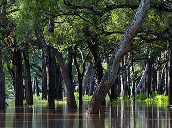 Time + Tide Kakuli: Die Auen des Luangwa Time + Tide Kakuli: Die Auen des Luangwa