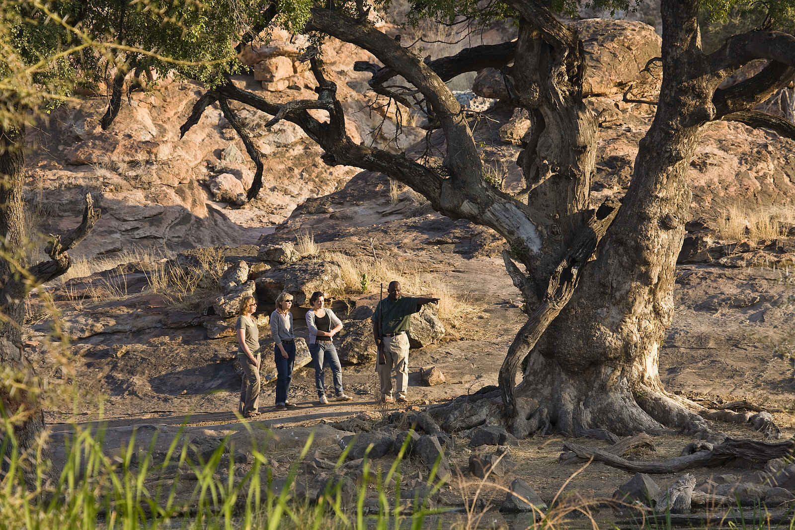 Tuli Safari Lodge Mashatu: Buschwanderung Tuli Safari Lodge Mashatu: Buschwanderung