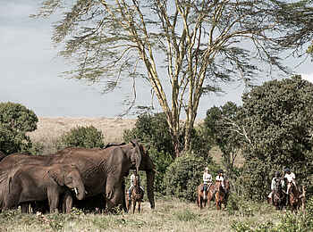Borana Lodge: Auf Reitsafari Borana Lodge: Auf Reitsafari