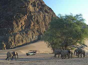 Damaraland Camp: Elefanten im Huab-Tal