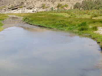 Fort Sesfontein: Ausgetretenes Grundwasser im Flussbett