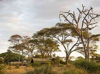 Kuro Tarangire: Die Unterkünfte Kuro Tarangire: Die Unterkünfte