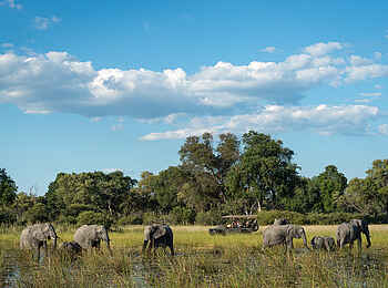 Little Vumbura: Auf Pirschfahrt Little Vumbura: Auf Pirschfahrt