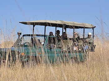 Nanzhila Plains Safari Camp: Game Drive Nanzhila Plains Safari Camp: Game Drive
