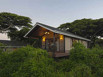 Ngorongoro Lions Paw Camp: Executive Twin Room Ansicht