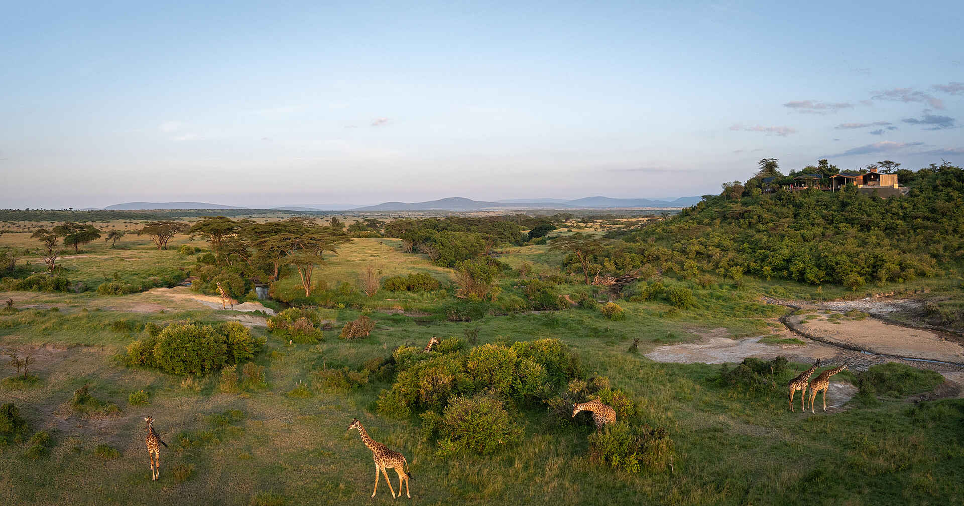 Saruni Eagle View: Giraffen