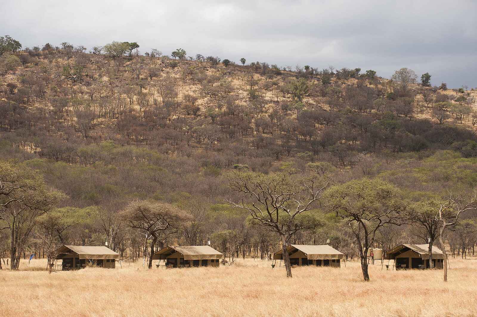 Serengeti Kati Kati Tented Camp: Hügel hinter dem Camp Serengeti Kati Kati Tented Camp: Hügel hinter dem Camp
