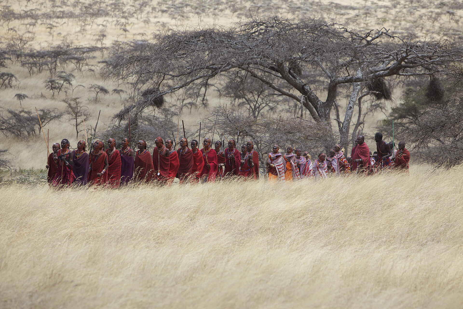 Sirikoi: Wanderung der Chyulu Masai Sirikoi: Wanderung der Chyulu Masai
