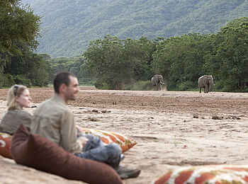 Wayo Manyara Green Camp: Entspanntes Beobachten von Elefanten