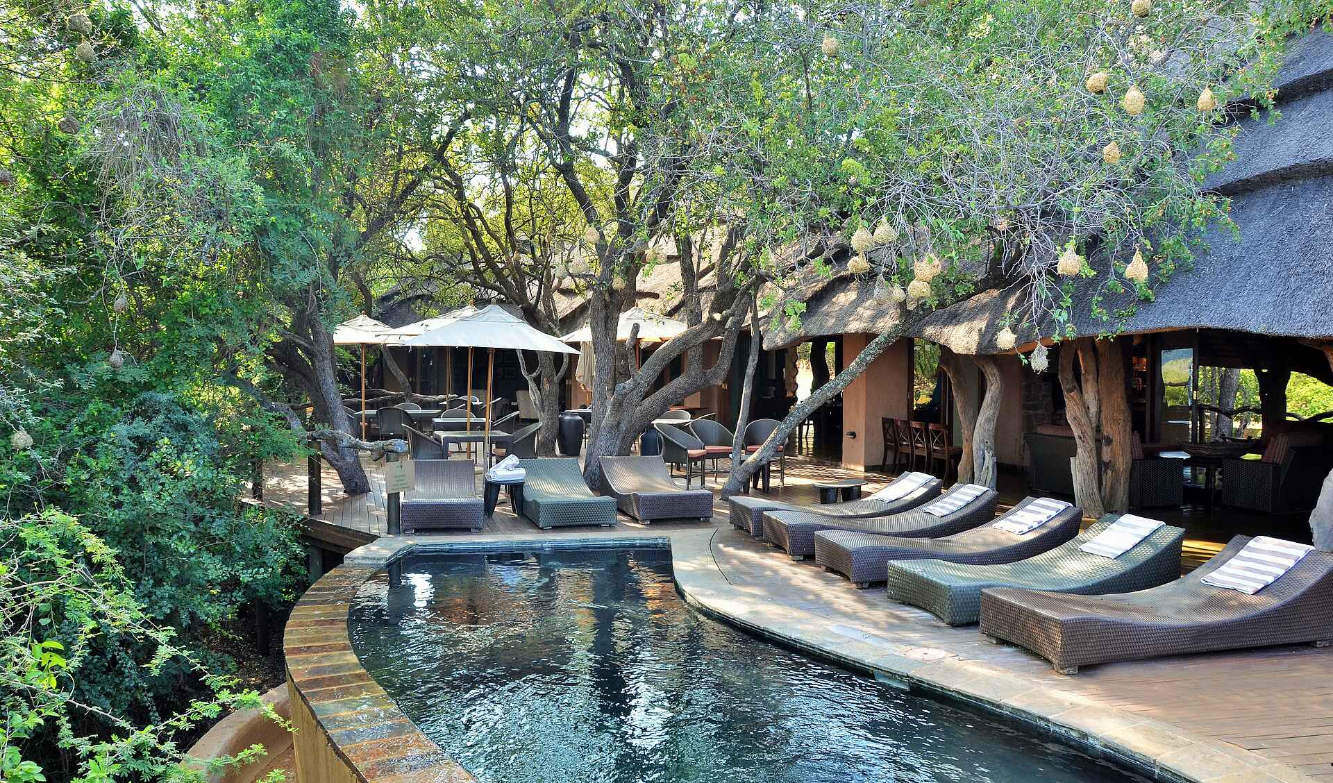 Big 5, Lodge, Luxus-Lodge, Madikwe, Madikwe Game Reserve, Motswiri Private Safari Lodge, Safari, Südafrika, Villas, Hauptgebäude, Main Area, Pool, Afrikarma, Afrikarma Safaris, Afrikarma Safaris - Wildnis. Hautnah., Afrikarma.de