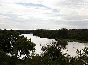 Simbavati Hilltop Lodge: Der Timbavati