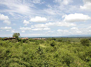 Volcanoes Kyambura Gorge Lodge: Dächer der Lodge Volcanoes Kyambura Gorge Lodge: Dächer der Lodge