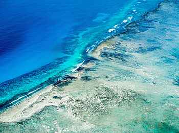 Anantara Medjumbe Island Resort: Korallenriff