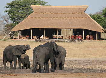 Camp Hwange: Elefantenherde vor der Main Lounge