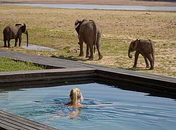 Shawa Luangwa Camp: Besuch am Pool