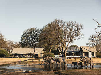 Linkwasha Camp: Wasserloch vor dem Camp Linkwasha Camp: Wasserloch vor dem Camp