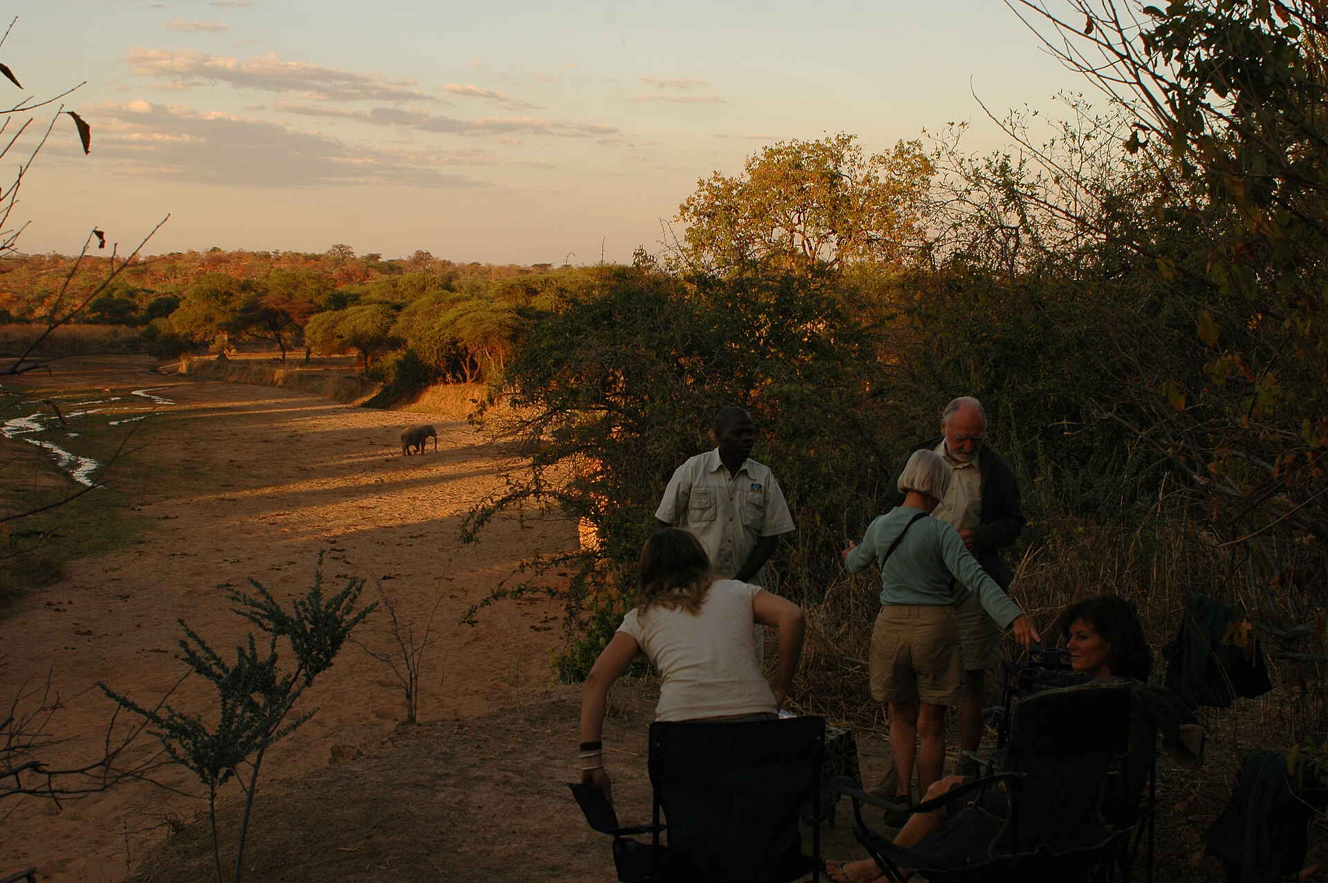 Mdonya Old River Camp: Elefant im Flussbett Essential Destinations, Mdonya Old River Camp, Ruaha National Park, Aktivitäten, Elefant, Flussbett, Walking Safari, afrikarma, afrikarma Safaris, afrikarma Safaris - Wildnis. Hautnah., afrikarma.de