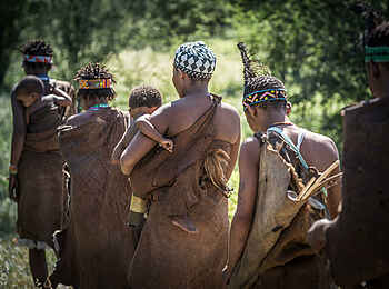 Meno a Kwena Camp: Bush Walk Meno a Kwena Camp: Bush Walk