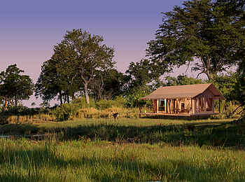 Nkasa Linyanti: Blick auf ein Gästezelt Nkasa Linyanti: Blick auf ein Gästezelt