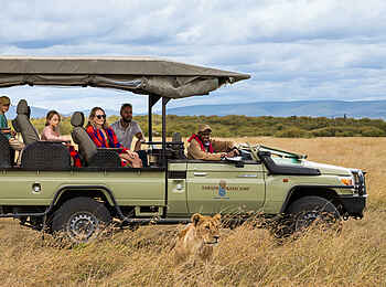 Saruni Eagle View: Löwin Saruni Eagle View: Löwin