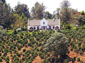 The Manor at Ngorongoro: Cottage in der Landschaft