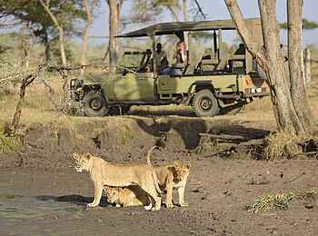 Ubuntu Migration Camp: Löwen