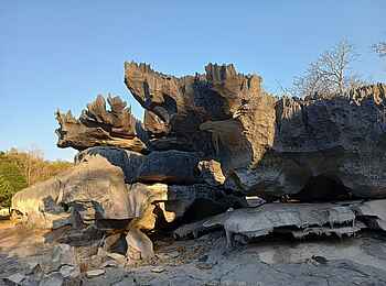 Namoroka Tsingy Camp: Felsformation